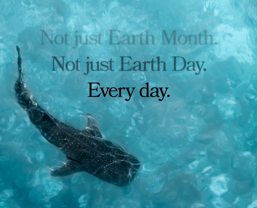Earth Day Campaigns: Are They Really Closing the Gap?