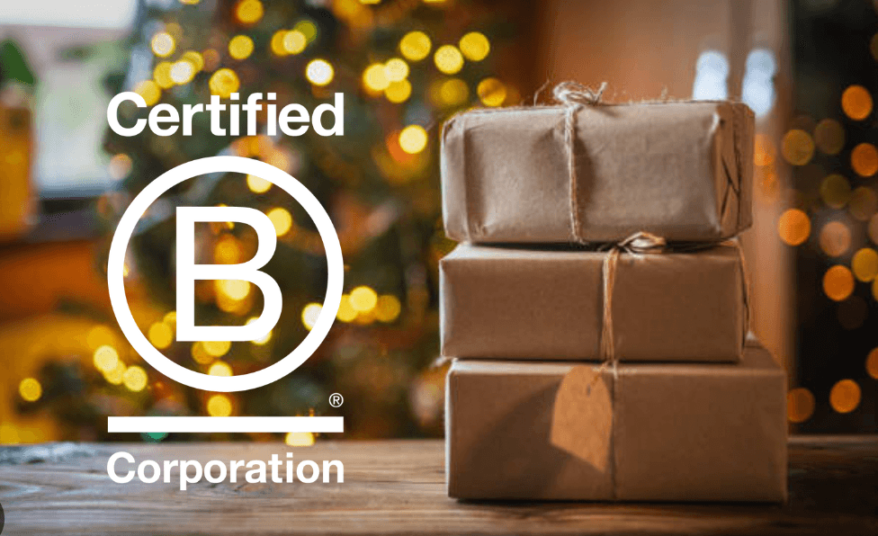 61 B Corp Gift Ideas for Green Friday