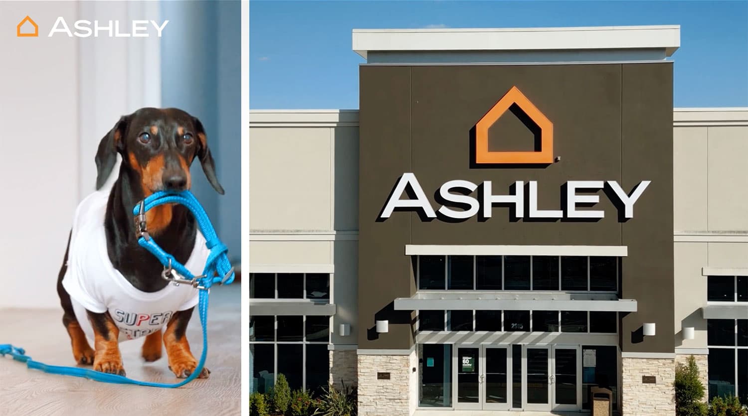 Tempur Sealy + Ashley Furniture: Tempur Tuneup