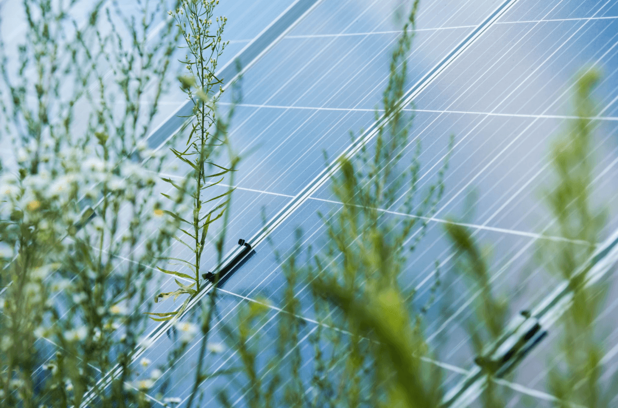 The Hidden Reason Sustainability Strategies Fail Inside Organizations