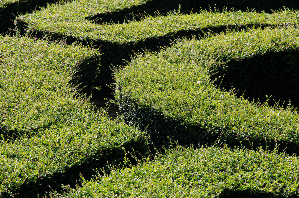 The Real Reason Sustainability Messaging Isn’t Converting Customers