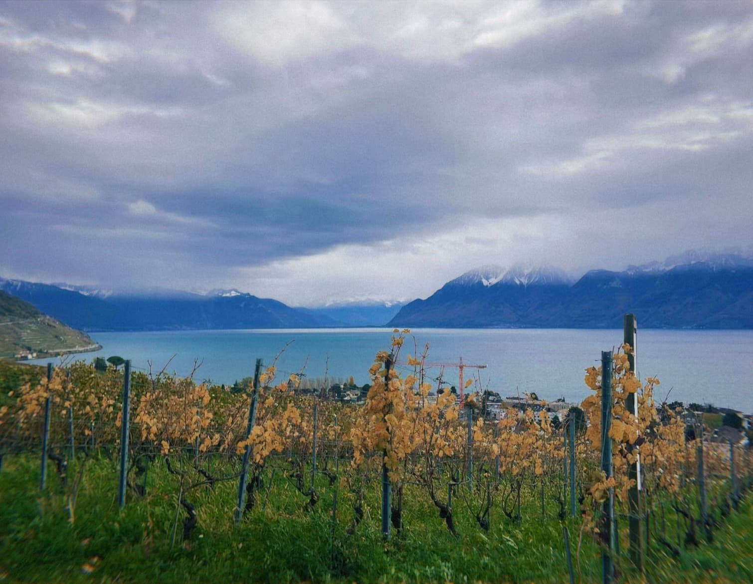 Circular Economy in Switzerland: A Week Inside the World’s Most Circular Nation