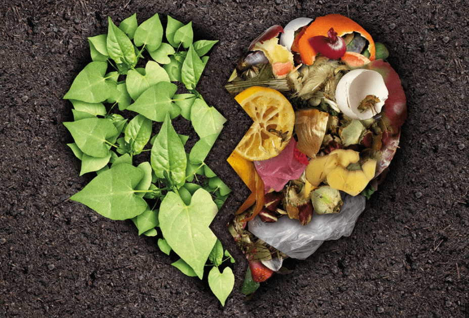 Composting Day: When Circularity Improves Mental Health