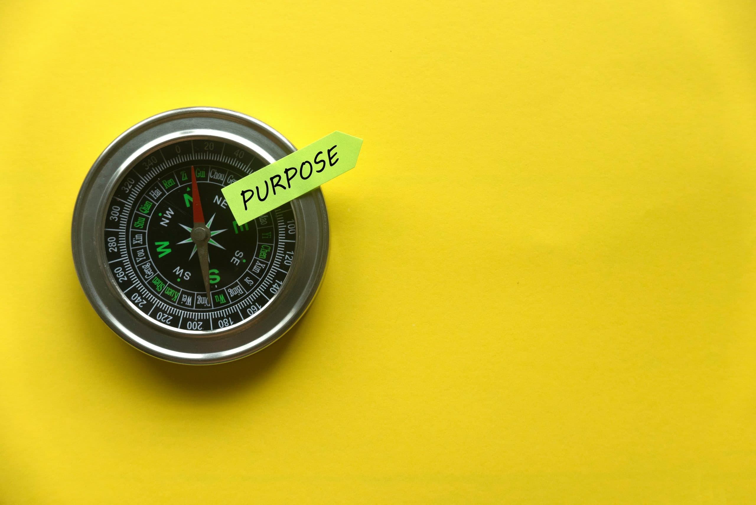 Purpose-Driven Marketing: The New Standard for Brand Activation