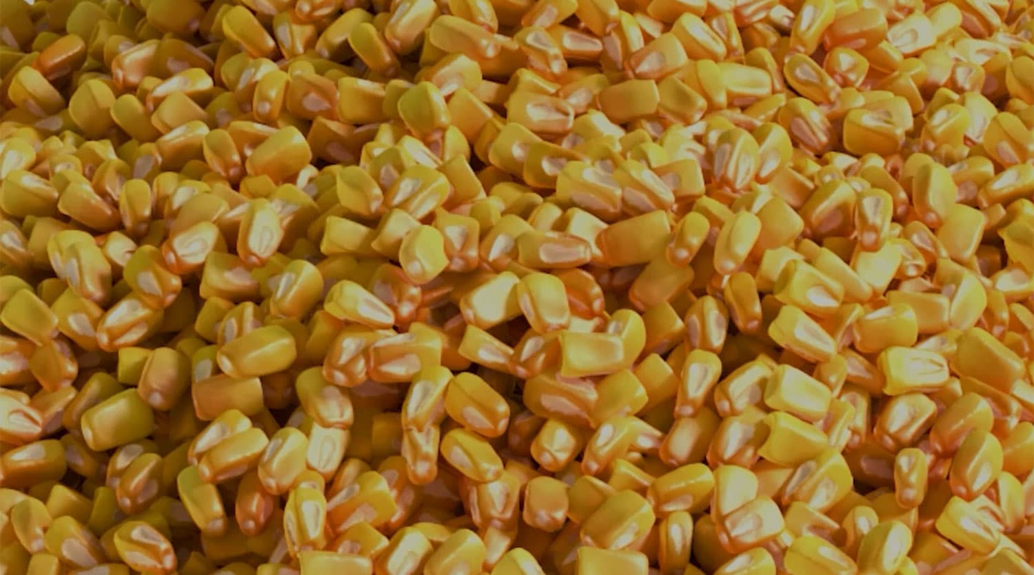 LYCRA + QIRA: Transforming Field Corn to Fiber